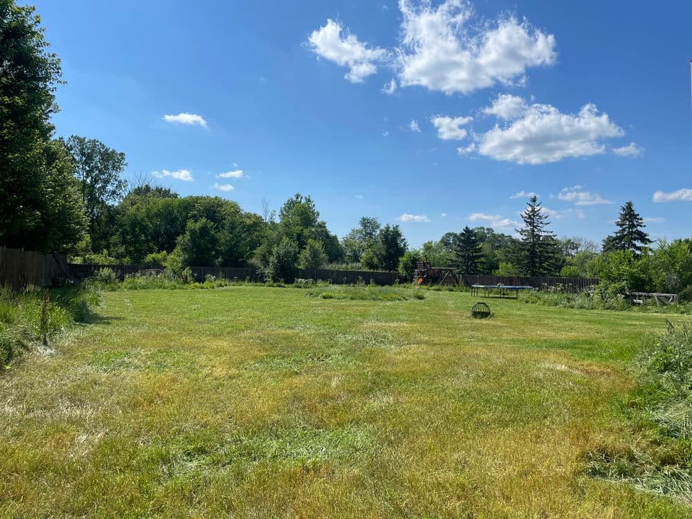Spacious green field under a blue sky with scattered clouds and trees in the background.