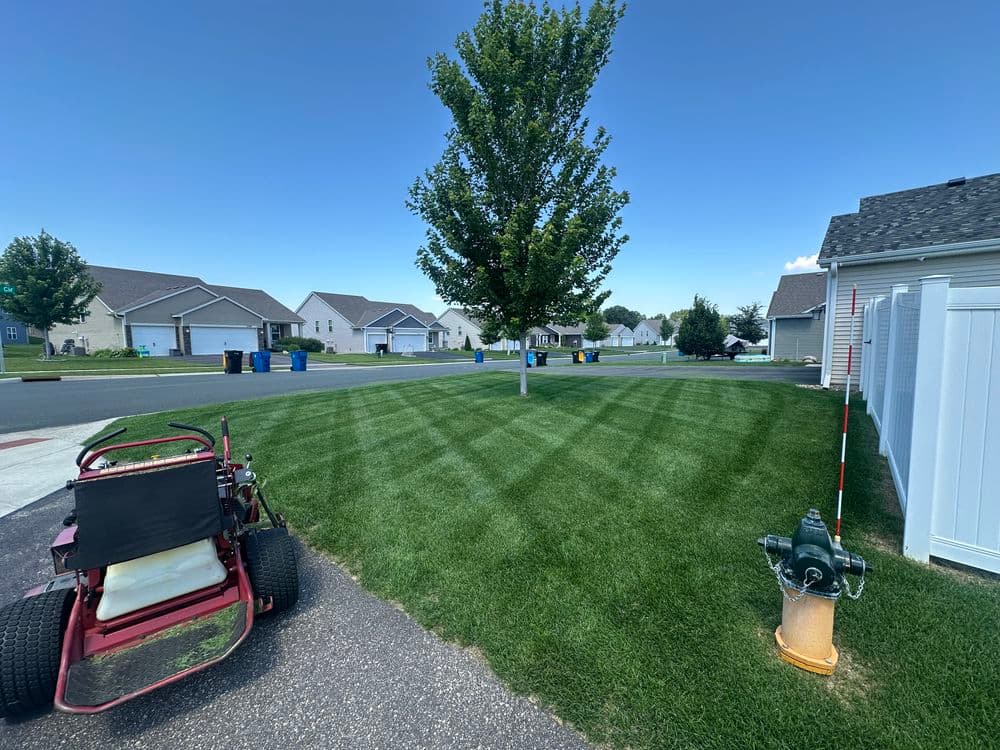 Lawn care scene with freshly mowed grass, a riding mower, and suburban neighborhood view.