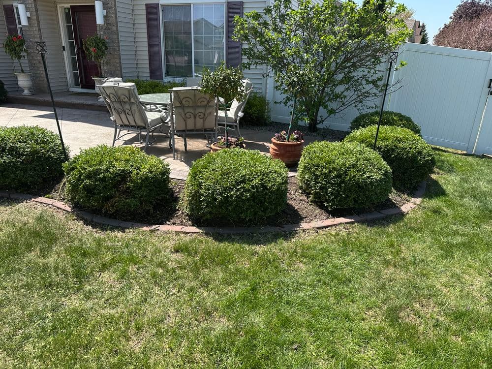 Lush garden featuring round bushes, patio furniture, and a decorative fence in a sunny yard.