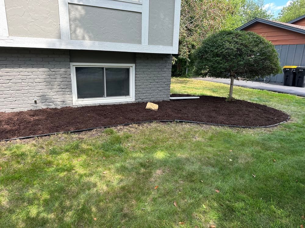 Newly mulched garden area with a small tree beside a house and visible landscaping details.