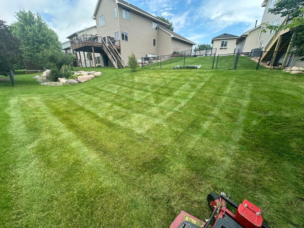 Well-maintained residential lawn with striped patterns, surrounded by houses and greenery.