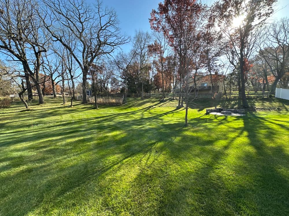 Lush green lawn with long shadows and autumn trees under a bright blue sky.