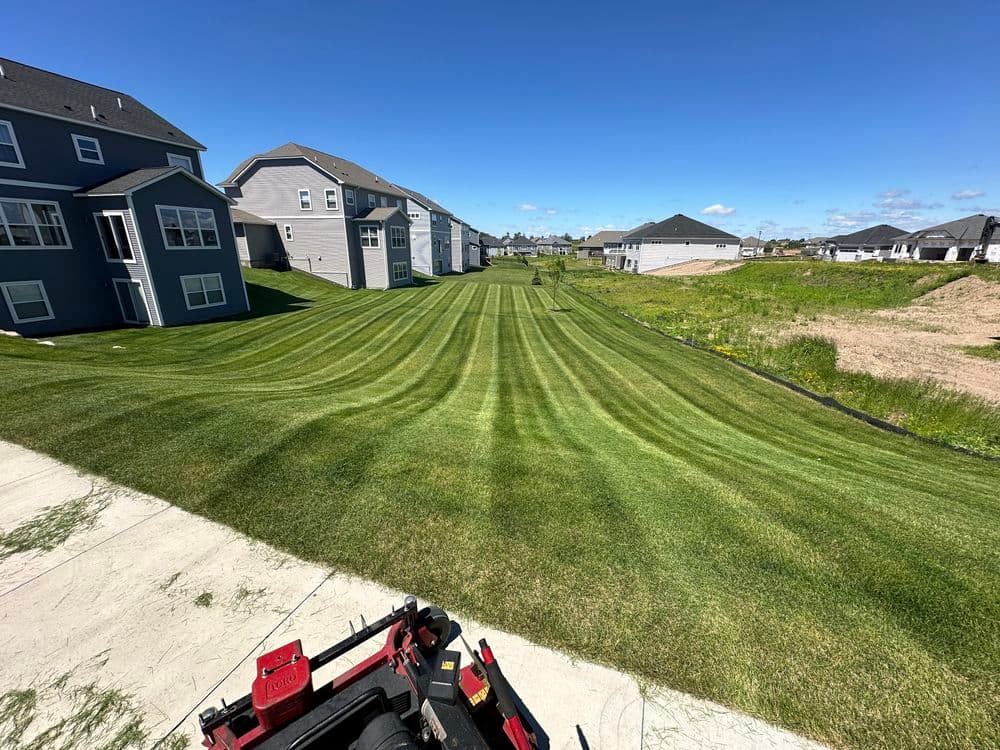 Well-manicured lawn with stripes, residential homes in the background under a clear blue sky.