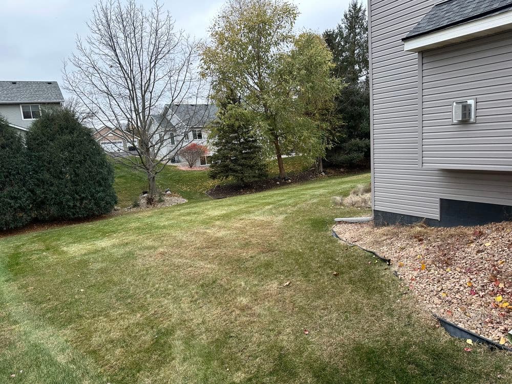 Lush green lawn in suburban backyard with trees and houses in the background. Fall season.