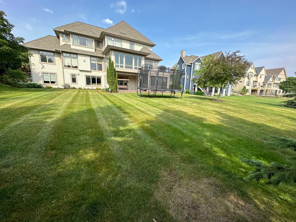 Spacious backyard with lush green lawn and modern homes in the background.