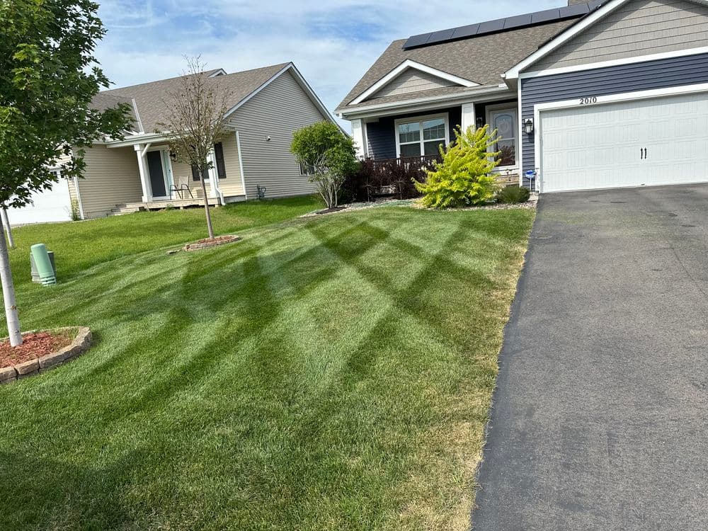 Well-maintained front lawn with striped grass and a neat driveway in a suburban neighborhood.
