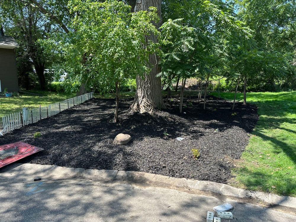 Landscaped yard area with mulch, tree, and greenery near a house.