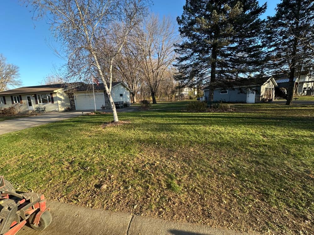 Project Spring Leaf Cleanup Done Right in Prior Lake image