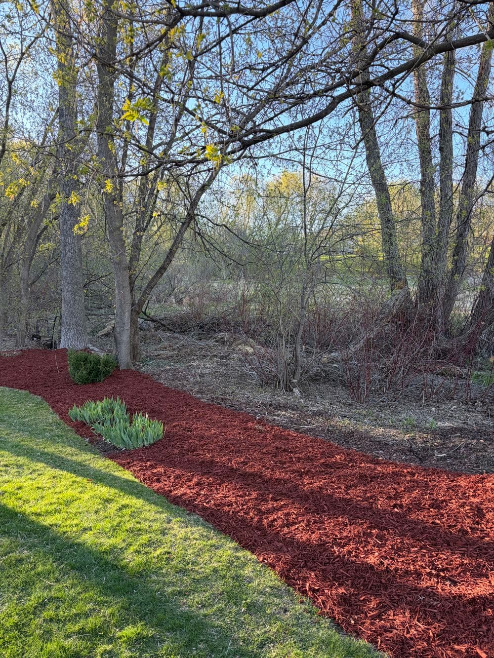 Gallery photos for 7 Yards of Red Mulch Along the Tree Line in Chaska: Image #3