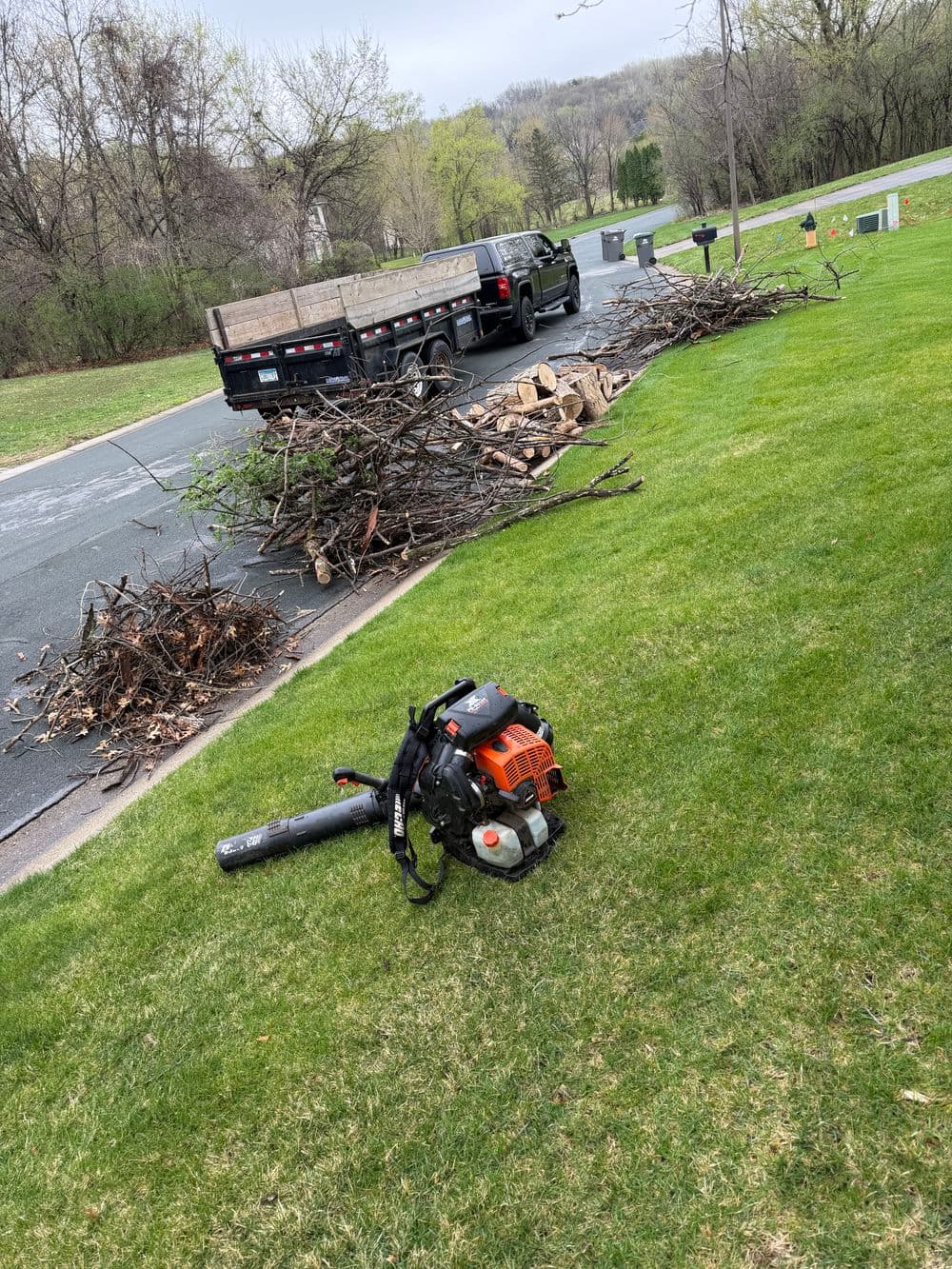 Gallery photos for Full Tree Removal and Cleanup Done Right in Shakopee: Image #1