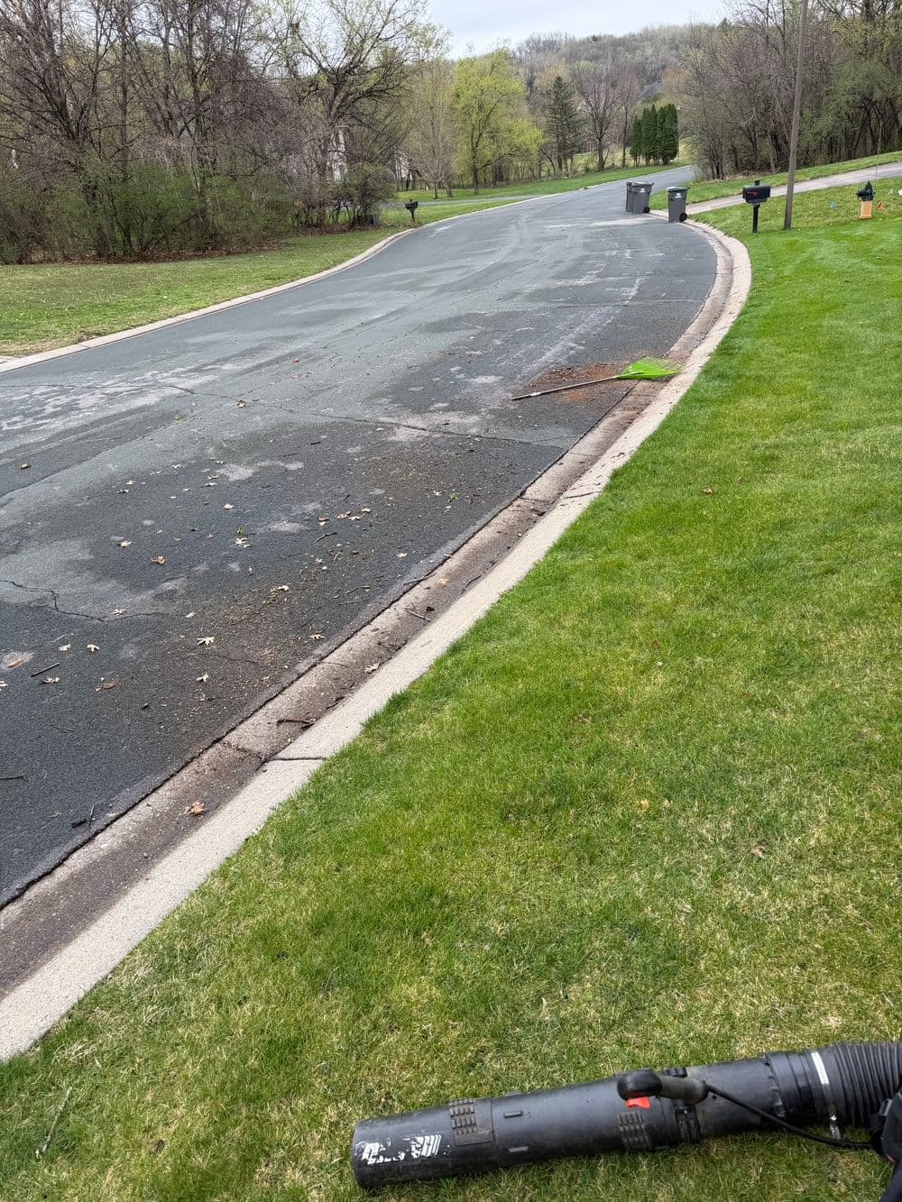 Project Full Tree Removal and Cleanup Done Right in Shakopee image