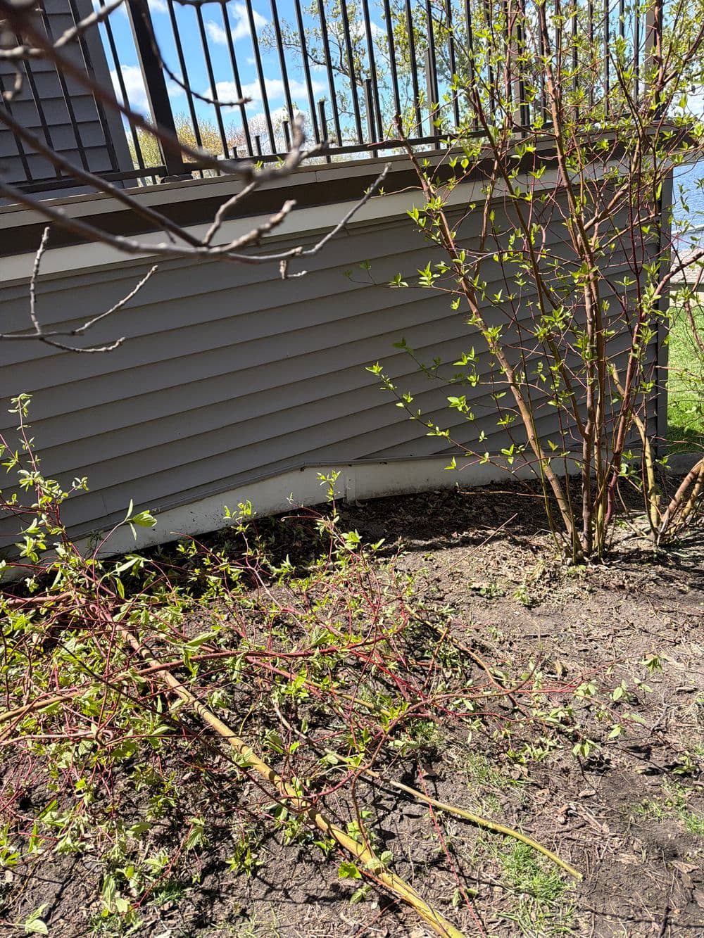 Gallery photos for Property Refresh Service for a Jordan MN Home Going on the Market: Image #1