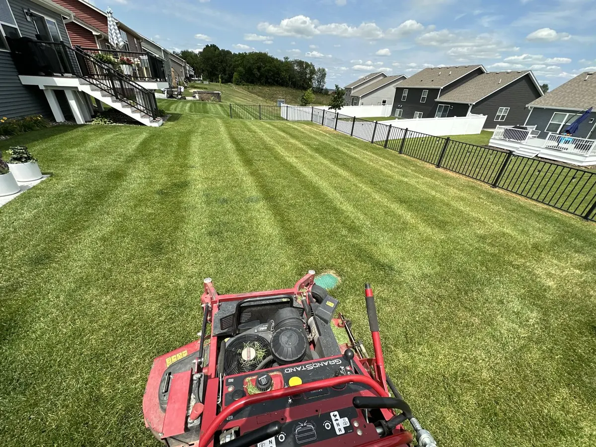 From the stand-on mower, striping a backyard — our own photo