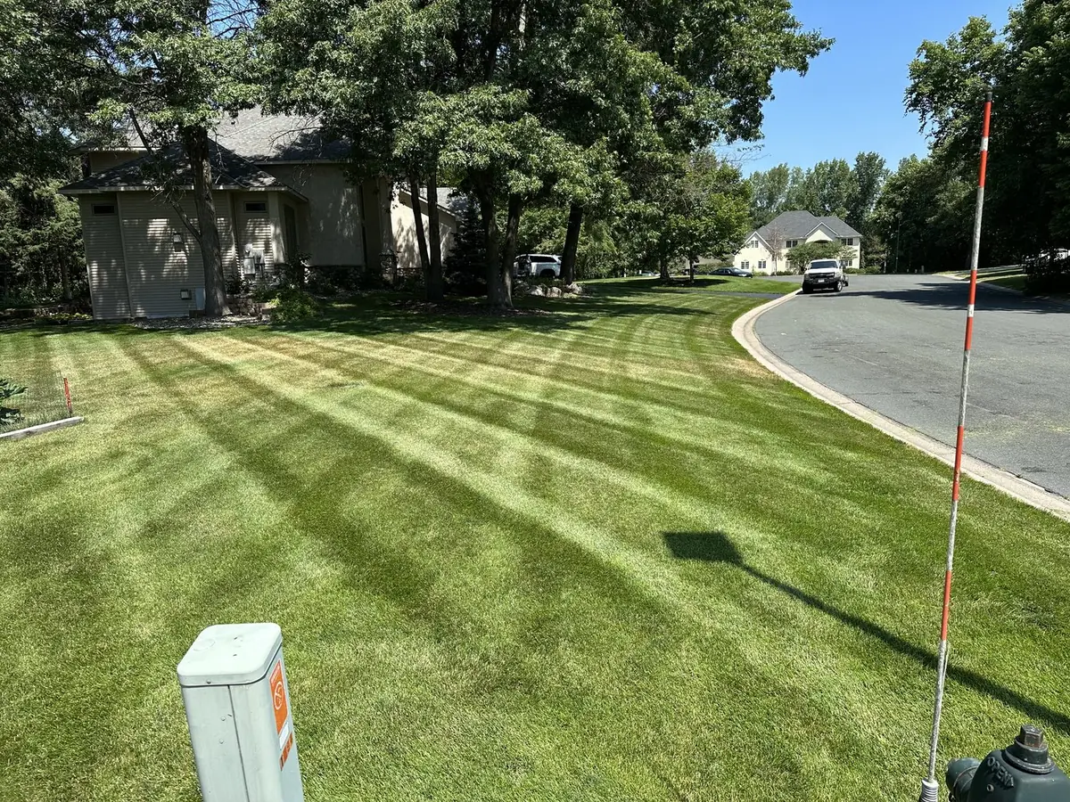 A freshly striped front lawn on a curving suburban street