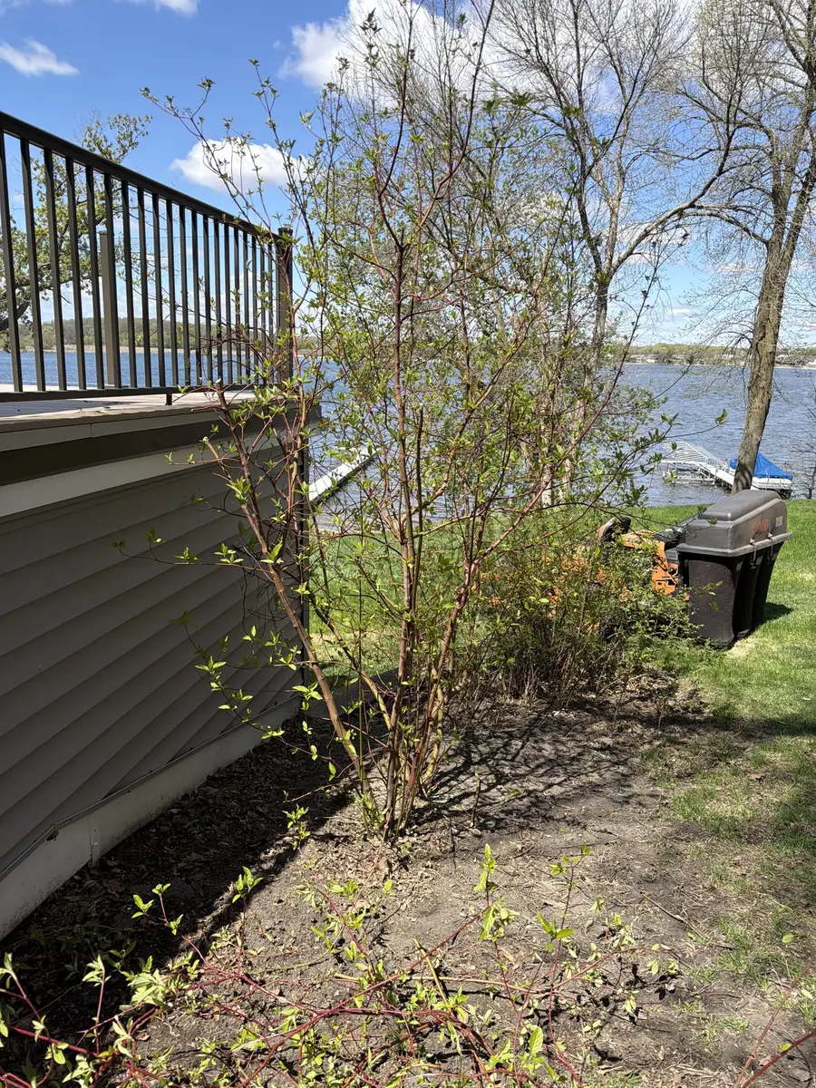 Shoreline beds and shrubs on a lakeside property, mower parked behind