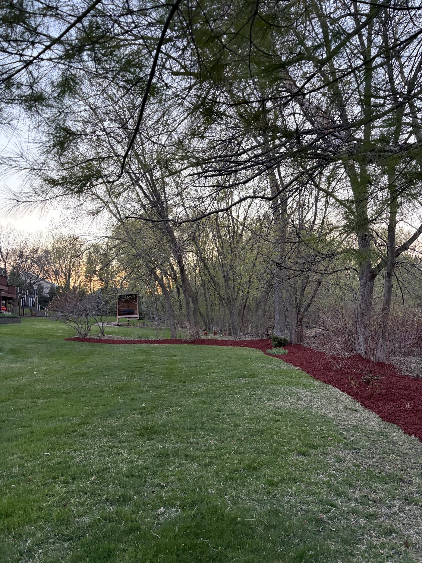 A tree line freshly spread with red mulch at dusk — our own work, on our own phones