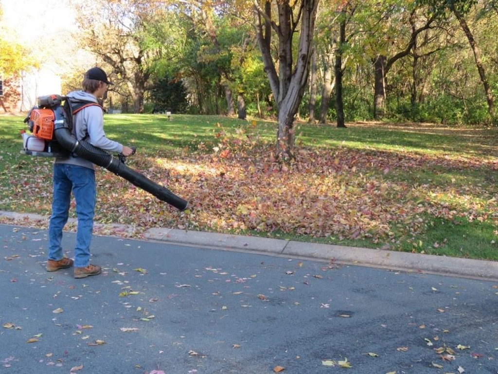Fall Cleanup