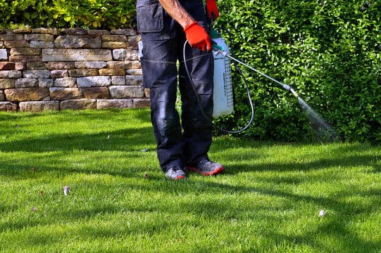Lawn Fertilization & Weed Control