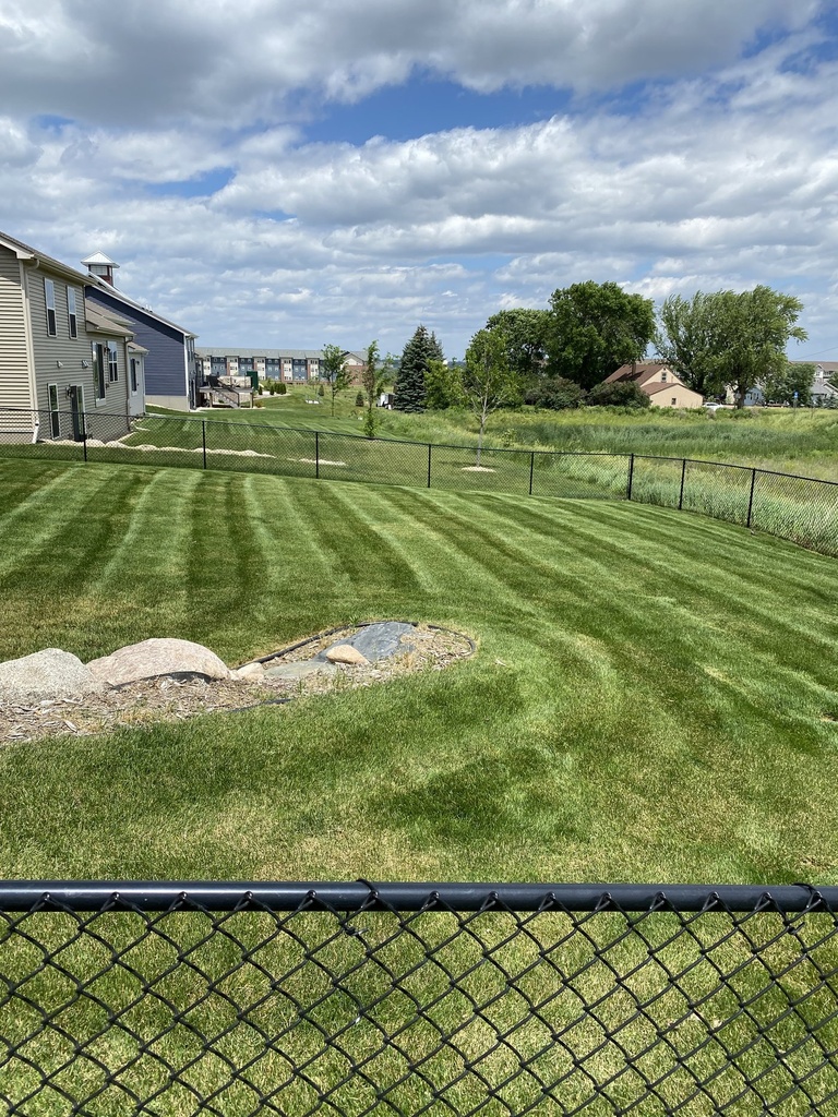 Biweekly Lawn Mowing