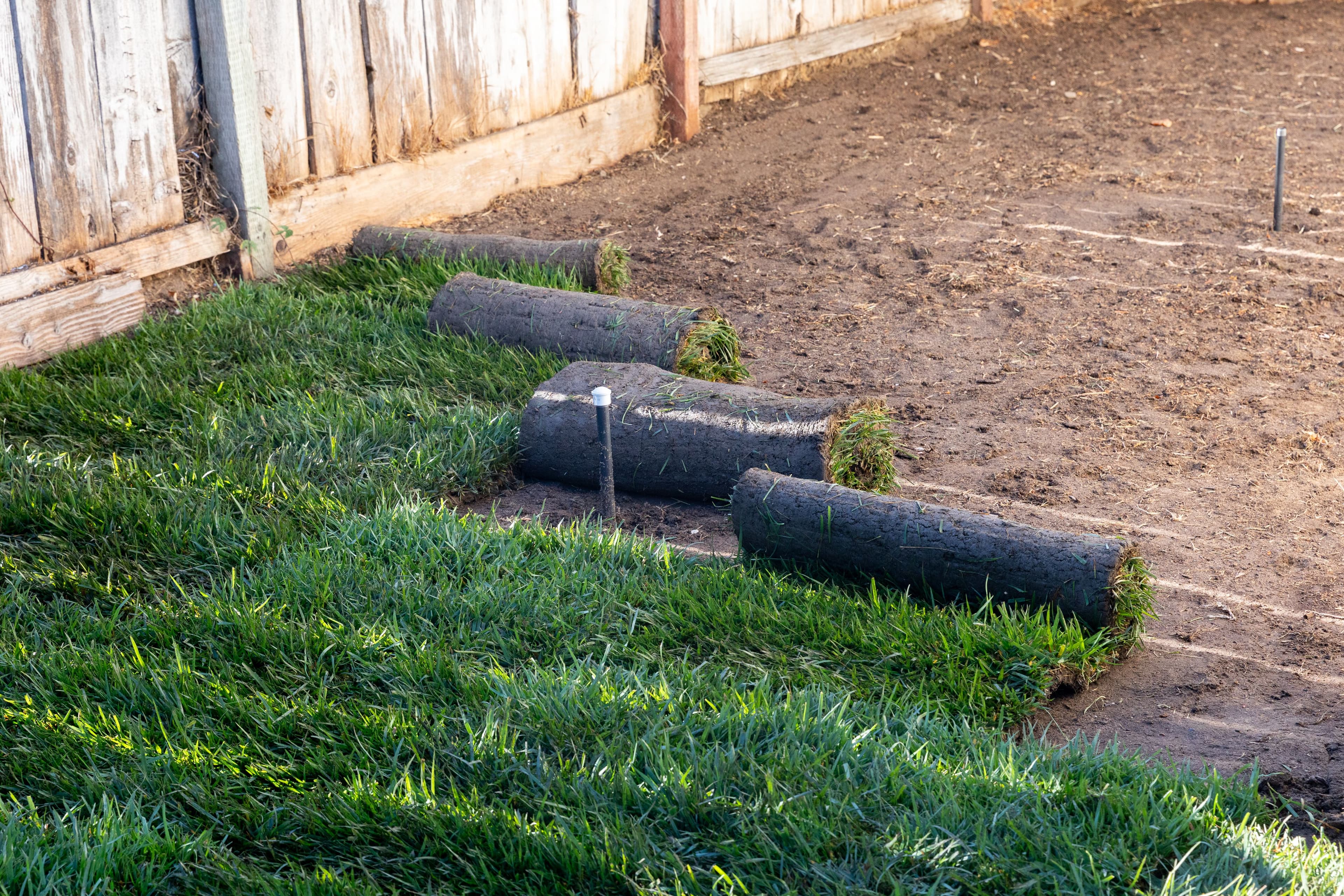 Fresh sod laid on a prepared bed